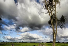 哥伦比亚硬战晋级智利，挺进美洲杯四强！