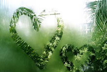 上海申花球队全员备战，决心夺冠