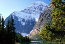 南非选手实力抢眼，成功晋级八强