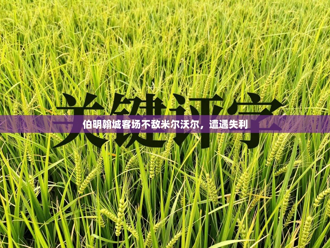 伯明翰城客场不敌米尔沃尔,遭遇失利 第1张