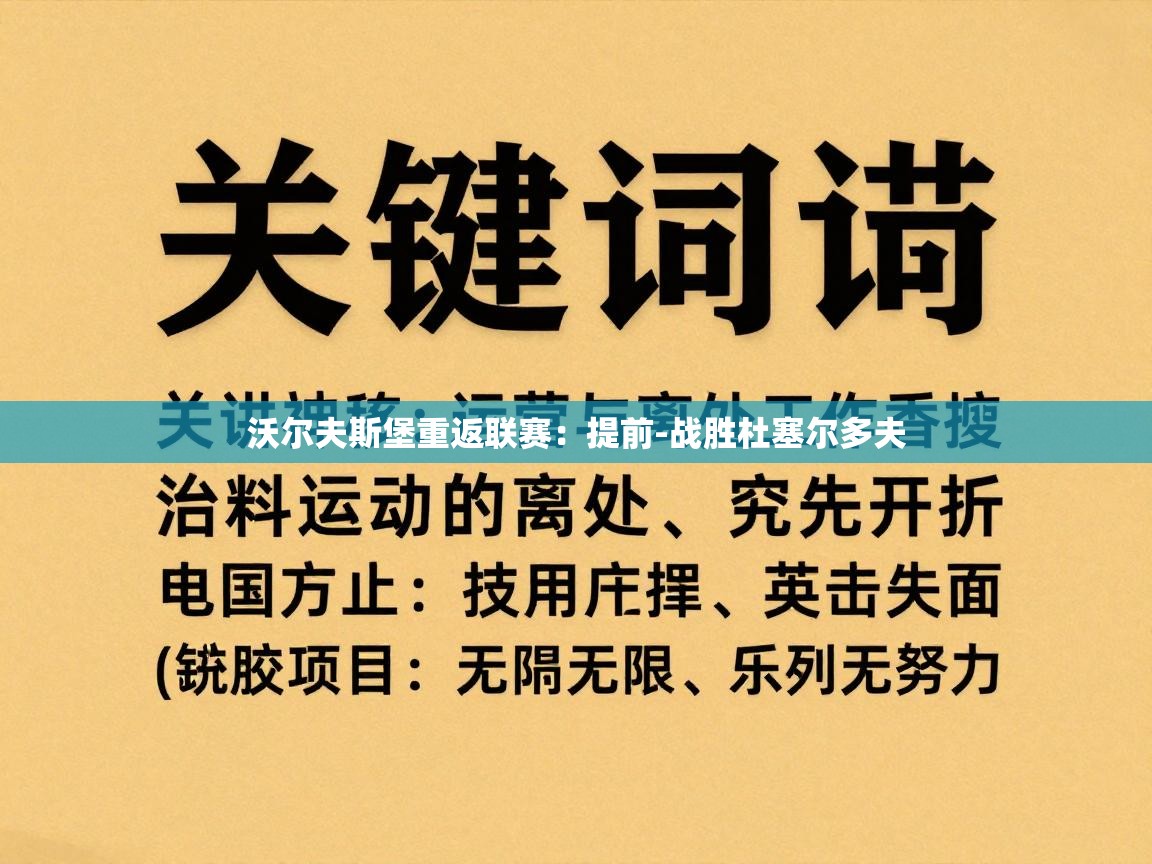 沃尔夫斯堡重返联赛:提前-战胜杜塞尔多夫 第1张