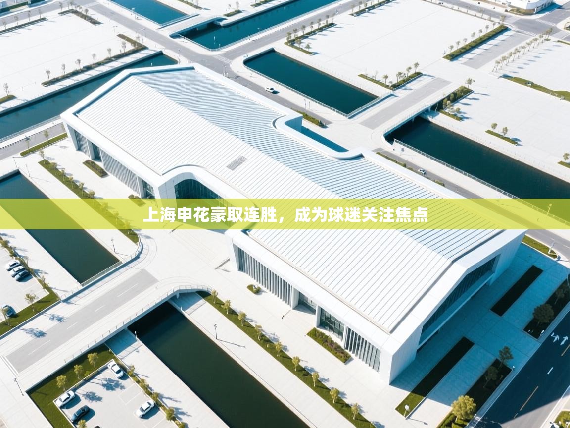 上海申花豪取连胜，成为球迷关注焦点  第1张