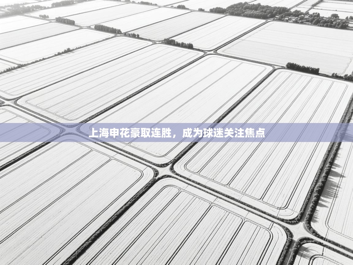 上海申花豪取连胜，成为球迷关注焦点  第2张